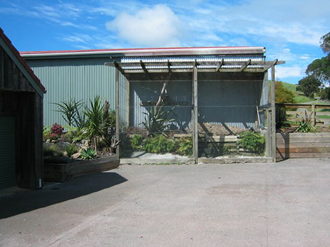 Pakiri gallery image 6