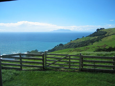 Pakiri gallery image 7
