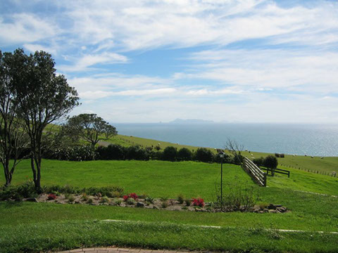Pakiri gallery image 8