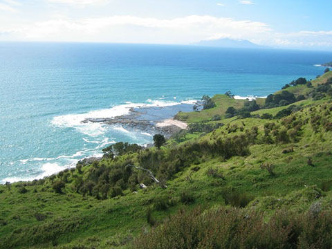 Pakiri gallery image 11