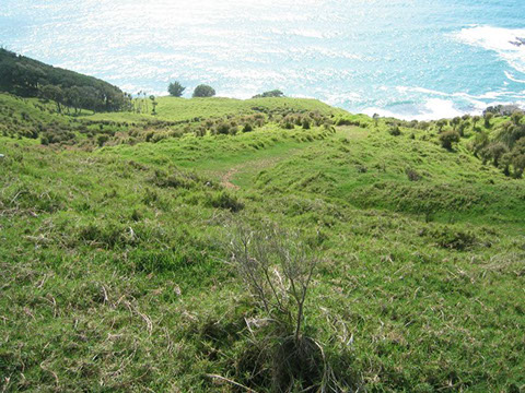 Pakiri gallery image 12