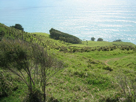 Pakiri gallery image 14