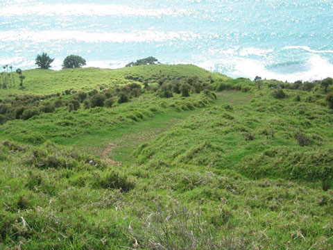 Pakiri gallery image 18
