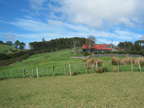 Pakiri gallery image 19