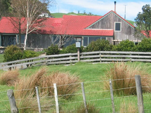 Pakiri gallery image 20